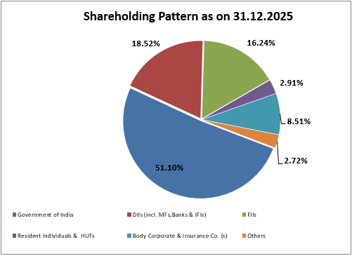 Shareholding Pattern Pie Chart